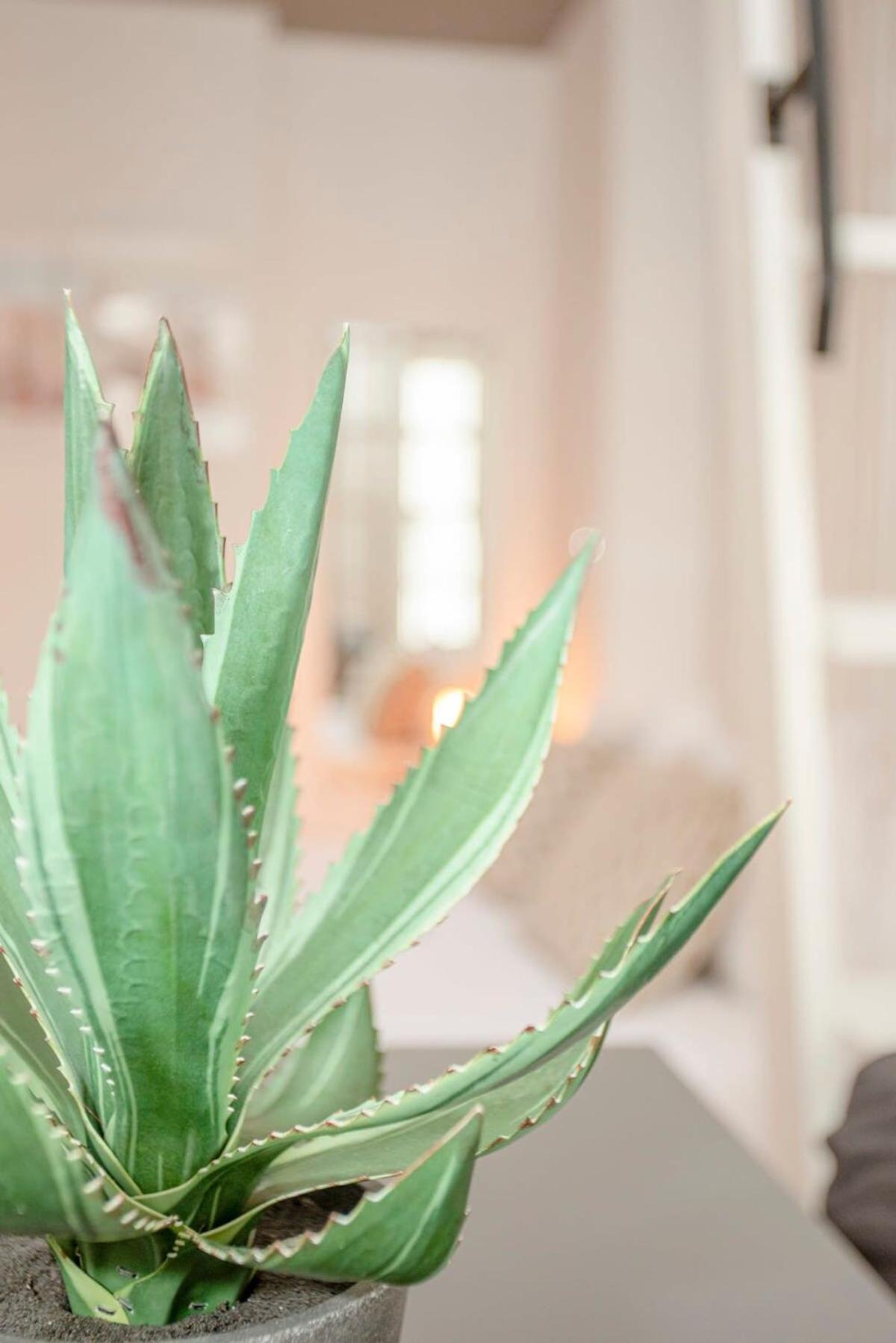 Liiiving In Porto - Heart Of Porto Mezzanine Apartment Bagian luar foto